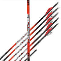 Black Eagle Carnivore V2 Carbon Arrows (6 Pk) Arrows Premade