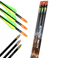 Hori-Zone Fibreglass Arrows (3 Pk) Premade