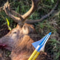 Kayuga Tri Zot Broadheads (3 Pack) Broadhead