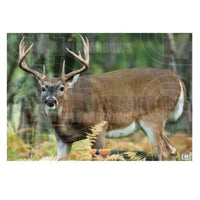 Nice Archery Deer Rabbit Turkey Target Faces Broadside Left