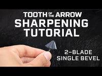 Tooth of The Arrow Single Bevel Broad Head (3 Pack)