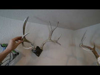 Skull Hooker Euro Skull Cap Mount