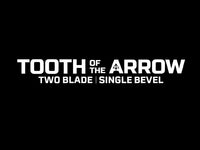 Tooth of The Arrow Single Bevel Broad Head (3 Pack)