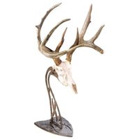 Skull Hooker Euro Table Mount Trophy Mount