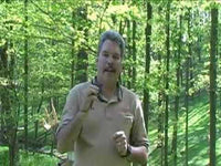 Third Hand Cant Fire Safety Release Tool