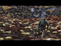 Hunters Element Boundary Pack