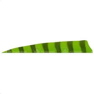 3.0 Barred Feathers Shield Cut (Rw) Fluro Green