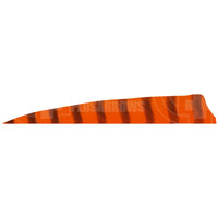 4.0 Barred Feathers Shield Cut (Rw) Orange
