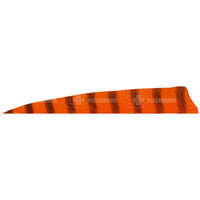 4.0 Barred Feathers Shield Cut (Rw) Orange