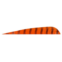 4.0” Parabolic Cut Barred Feathers (Rw) Orange / 12 Pack
