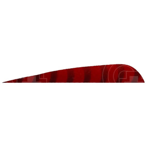 4.0” Parabolic Cut Barred Feathers (Rw) Red / 12 Pack