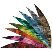 Gateway 5.0 Tre Colour Banana Feathers (Rw) Vanes And
