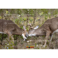 Archery Target Faces Deer Battling Bucks Targets
