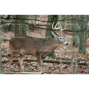 Archery Target Faces Deer Right Broadside Targets