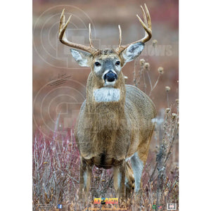 Archery Target Faces Deer Straight On Targets