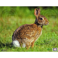 Archery Target Faces Rabbit Targets
