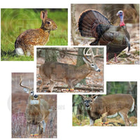 Nice Archery Deer Rabbit Turkey Target Faces
