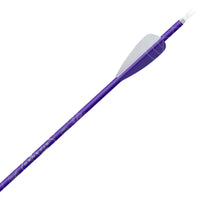 Easton Xx75 Genesis Arrow (6 Pack) Purple
