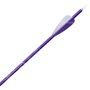 Easton Xx75 Genesis Arrow (6 Pack) Purple