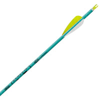 Easton Xx75 Genesis Arrow (6 Pack) Teal
