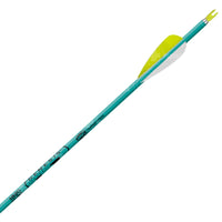 Easton Xx75 Genesis Arrow (6 Pack) Teal
