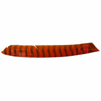 Bearpaw Right Wing Barred Feathers (12 Pack) Orange Vanes And
