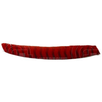 Bearpaw Right Wing Barred Feathers (12 Pack) Red Vanes And
