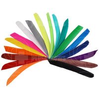 Bearpaw Right Wing Solid Colour Feathers (12 Pack) Vanes And
