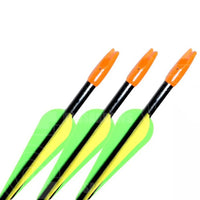 Hori-Zone Fibreglass Arrows (3 Pk) Premade