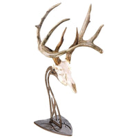 Skull Hooker Euro Table Mount Trophy Mount
