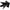 Tooth Of The Arrow Solid Series Broad Head (3 Pack) Heads & Small Game Points