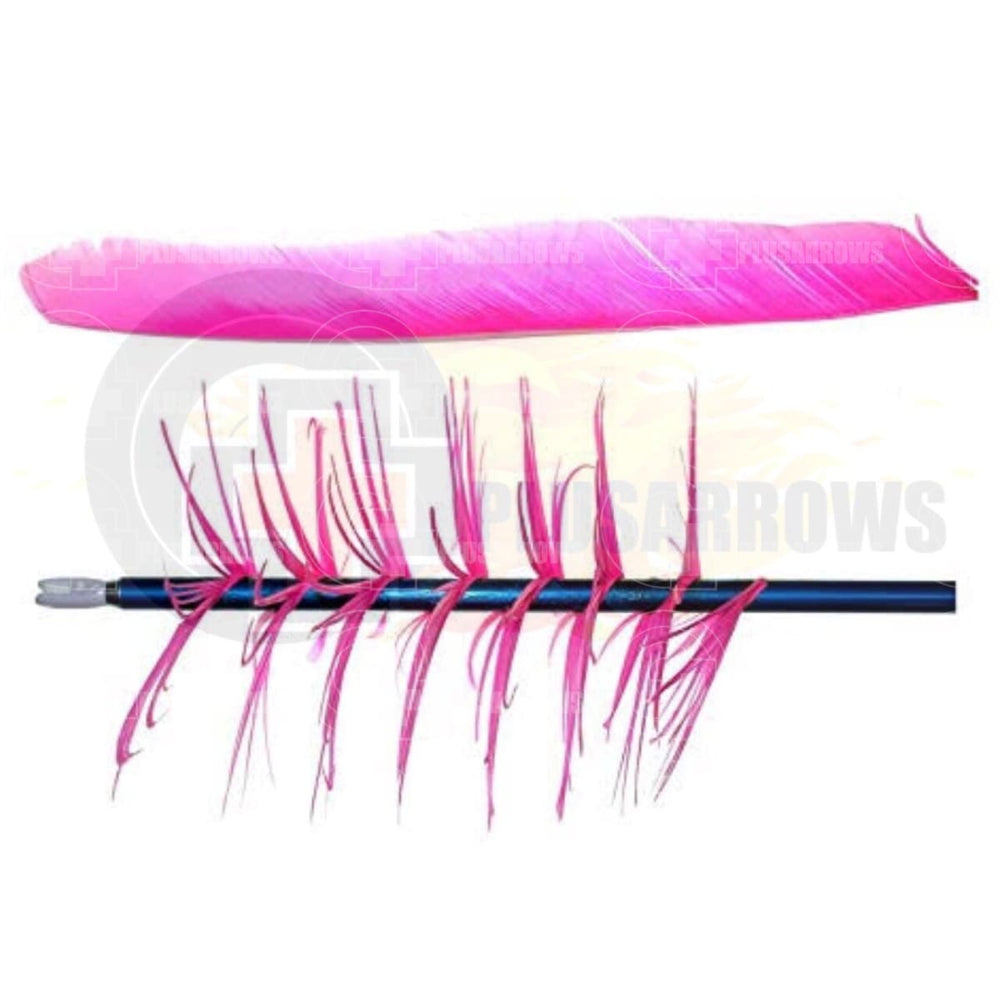 Trueflight Spiral Flu Feathers (Full Length) Pink / 12 Pack Vanes And