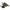 Vpa Single Bevel 2 Blade Broad Head (3 Pack) Heads & Small Game Points