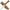 Whitetail Skinner Fixed Blade Knife Knives Saws And Sharpeners
