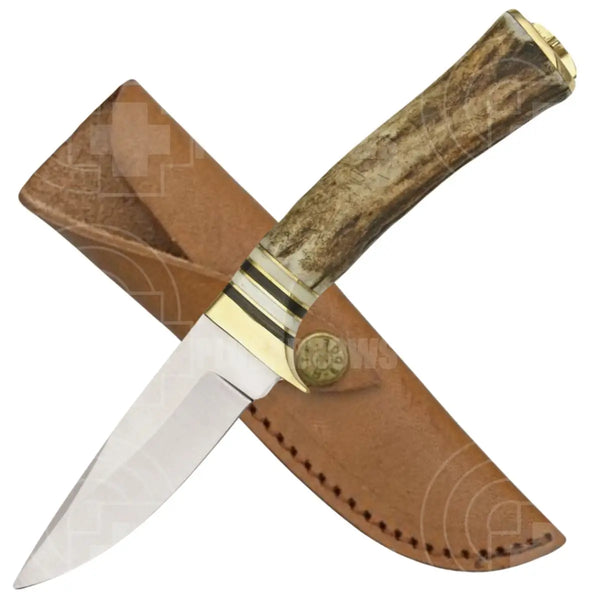 Whitetail Skinner Fixed Blade Knife Knives Saws And Sharpeners